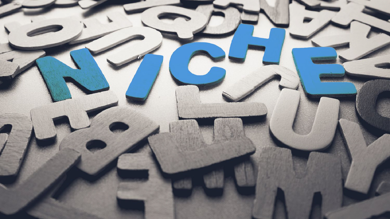 scattered wood letters with the word 'niche' written in them